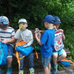 phoca_thumb_m_veverky na olen 15 Fotogalerie